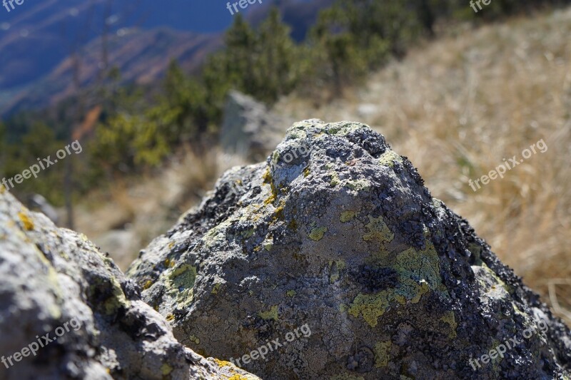 Mountain Hiking Pierre France Walker