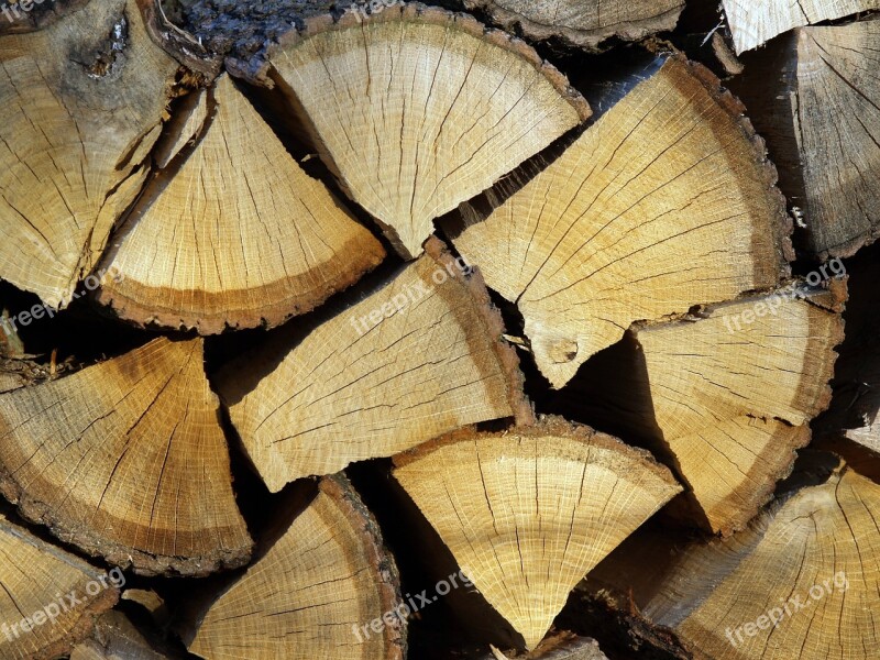 Wood Prism Stump Ripped Firewood Fuel