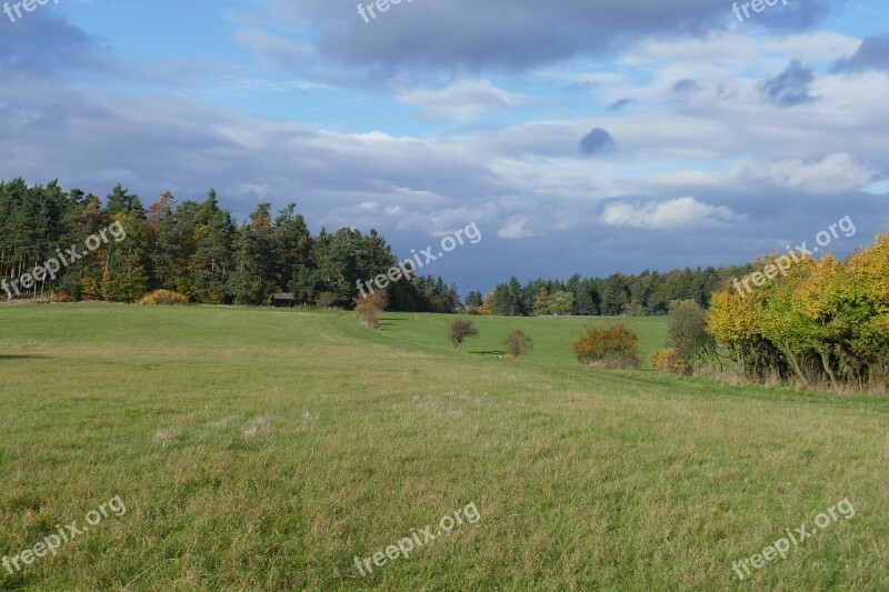 Meadow Perspective Landscape Autumn Forest