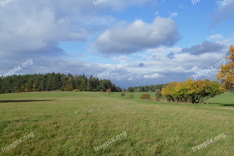 Landscape Autumn Meadow Forest Deciduous Trees