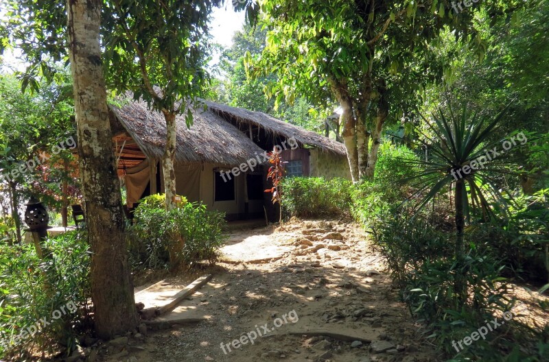 Laos Highlands Kamu Lodge Paillotte Home Primary Forest