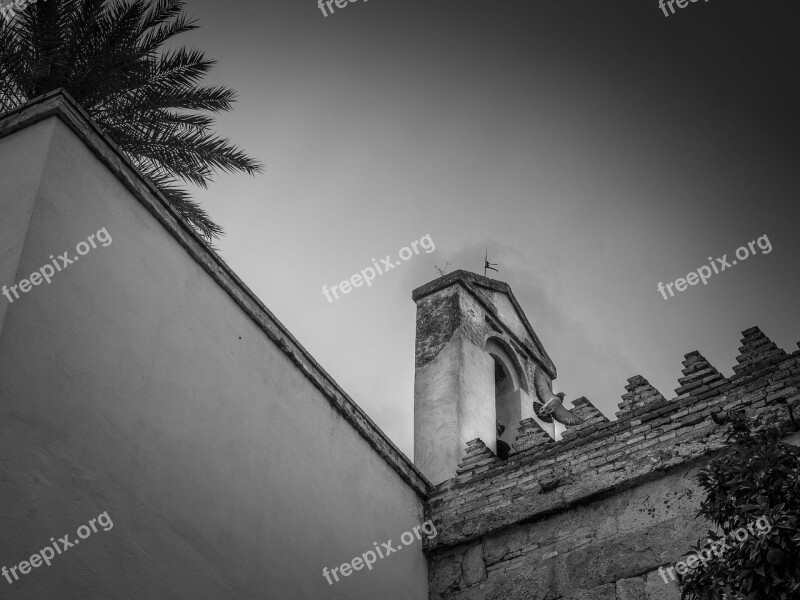 Tower Paloma Palm Tree Crenellate Cloudy