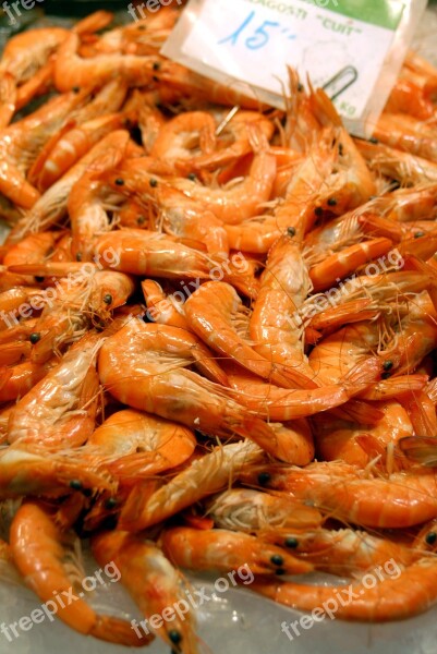 Prawns Seafood Gourmet Shellfish Fish