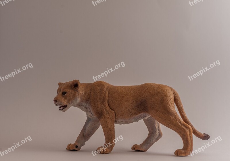 Lioness Fur Predator Tooth Figure