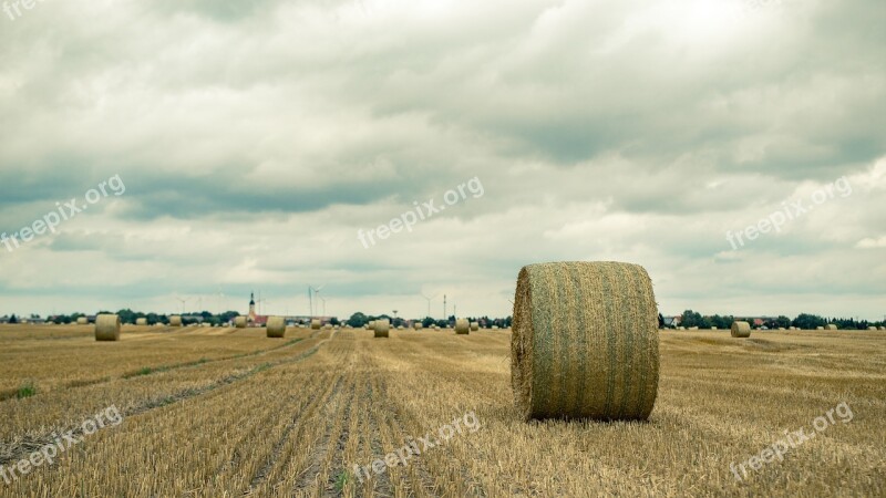 Field Straw Straw Bales Harvest Agriculture