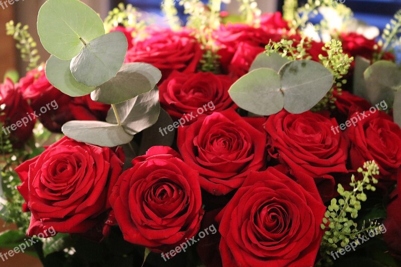 Red Roses Bouquet Roses Red Flowers