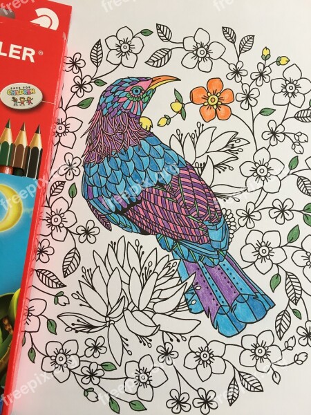 Colouring In Pencil Drawing Colorful Color