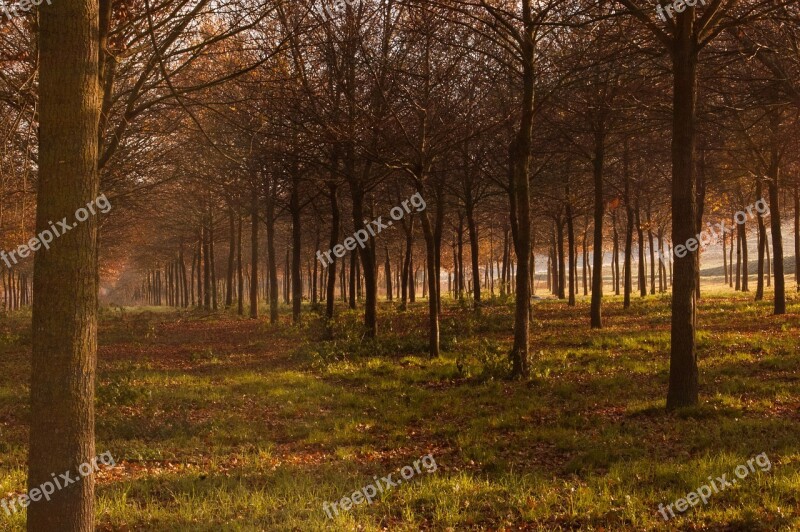 Autumn Sibillini Upstream River Yellow