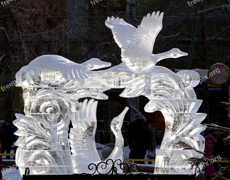 Ice Sculptures Winter Cold Frost City Park