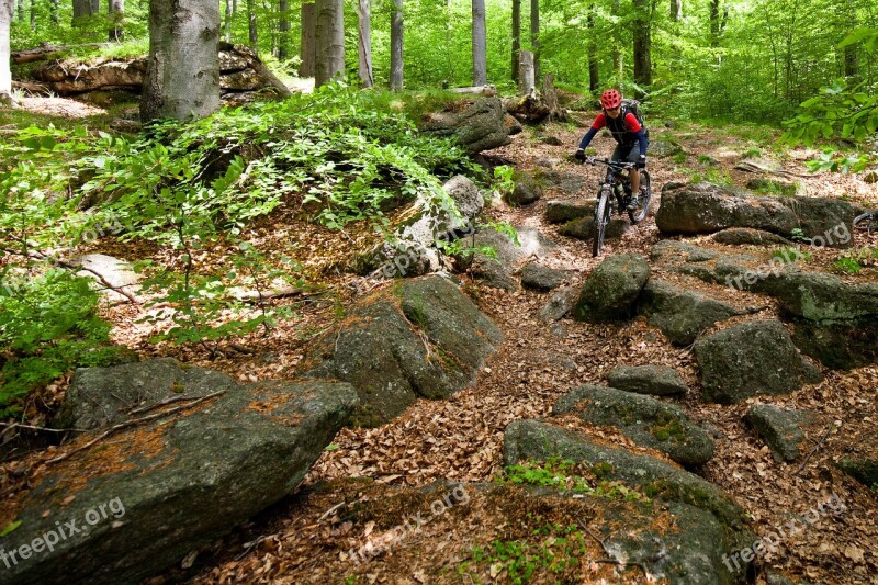 Cyclist Forest Stones Round Free Photos