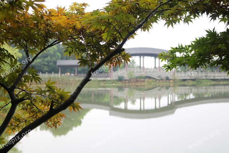 The Scenery Bridge Lake Chongqing Arched Bridge Gallery