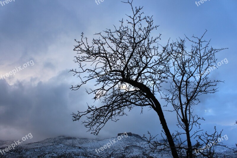 Snow Winter Landscape Tree Nature Mountain