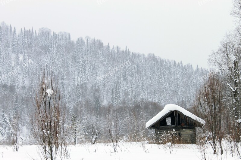 House Barn Hut Forest Landscape