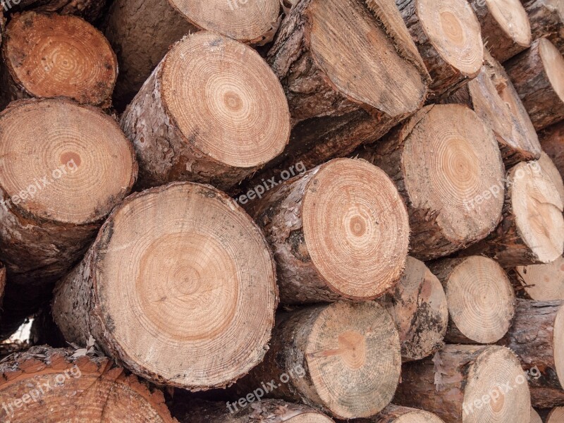 Wood Trunk Carpenter Sawmill Canada