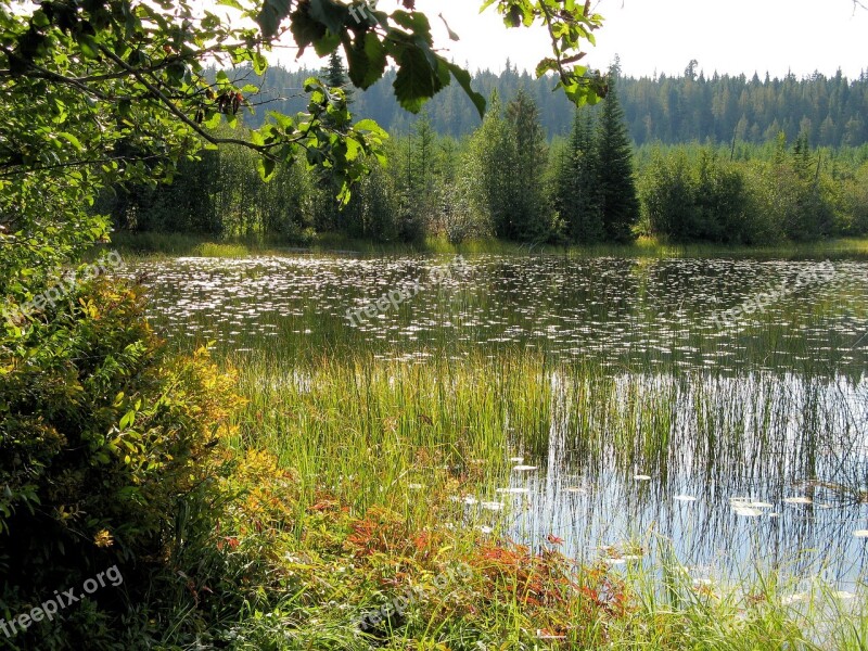 Wilderness Lake Shore Lake Scenic Outdoor