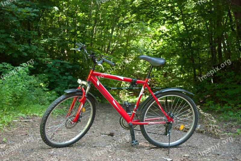 Bike Forest Sports Summer Ride