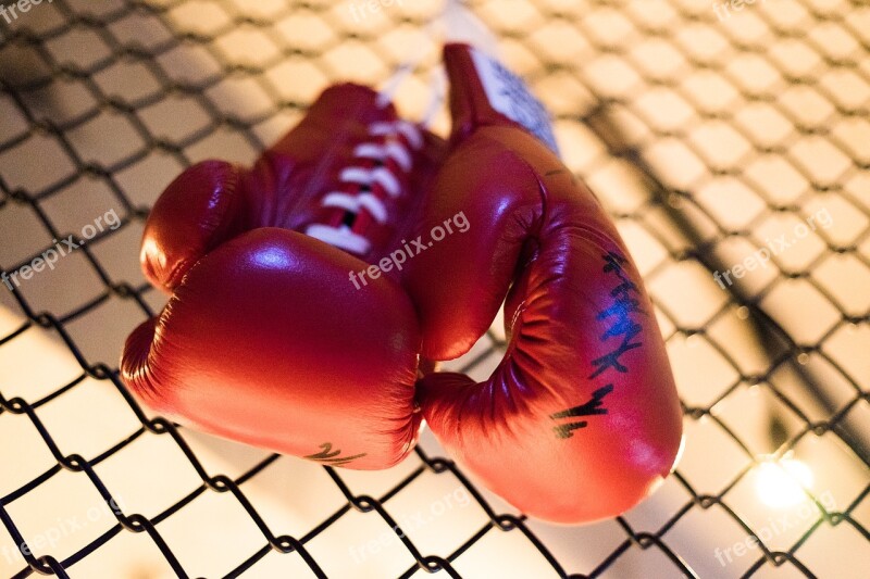 Boxing Grove Red Boxing Gloves Wrestle