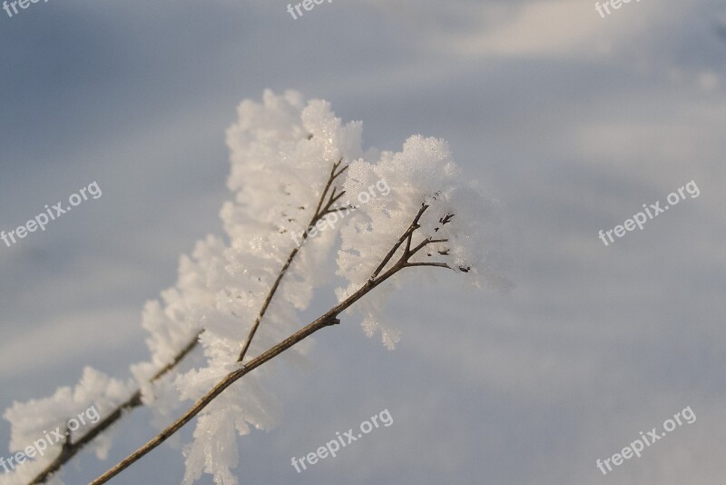 Winter Snow Hard Rime Frost Biel