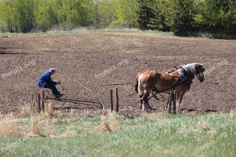 Farming Field Agriculture Farm Plow