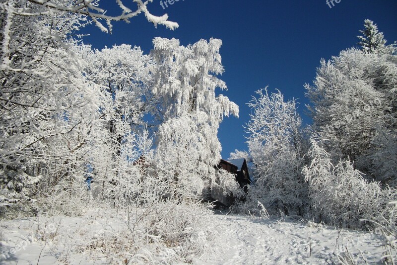 Winter Frost Ice Snow Rime