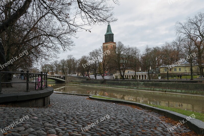 Turku Church Cathedral Christmas Christmas Tree