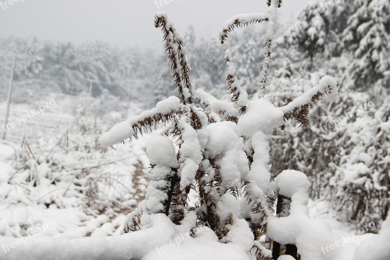 Snowflake Winter Views White Free Photos