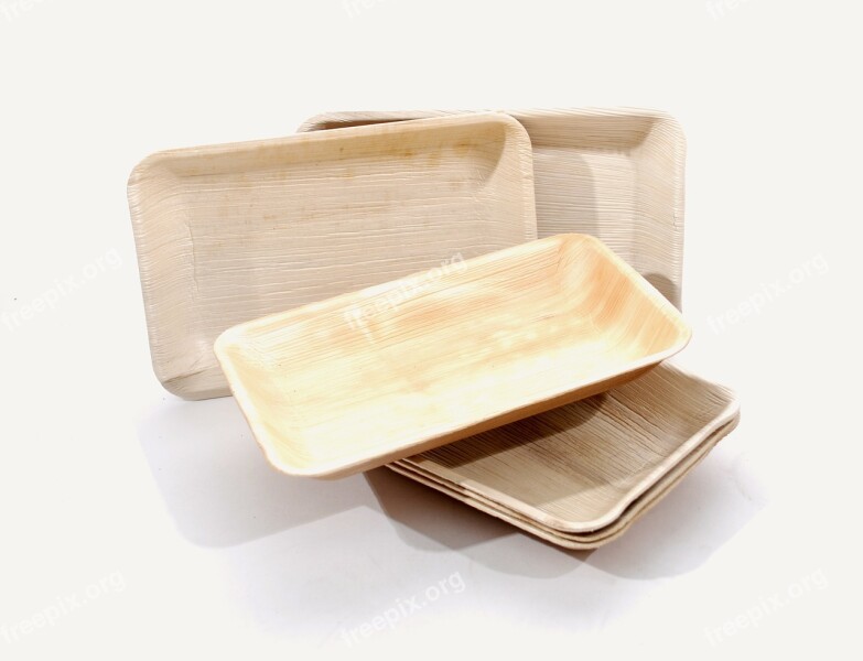 Plates Palm Leaf Material Rectangle Dishware