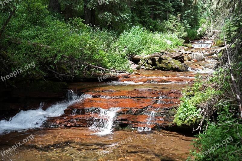 Stream Creek Mountain Stream Mountain Creek Forest