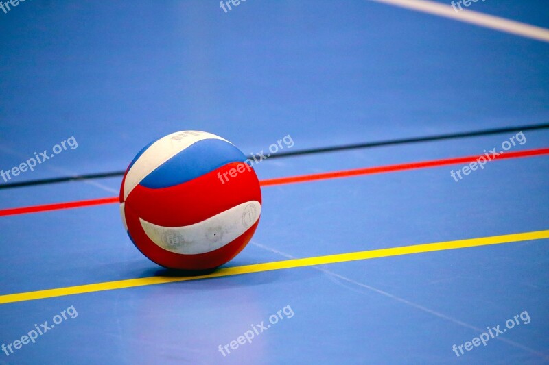 Volleyball Ball Sport Volley Ball Sports