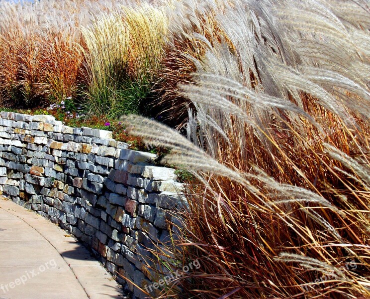 Stone Wall Tall Grass Scenic Stone Grass