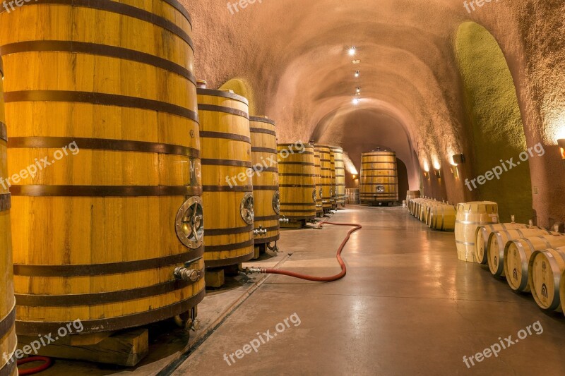 Wine Cellar Caves Tunnel Barrels Casks