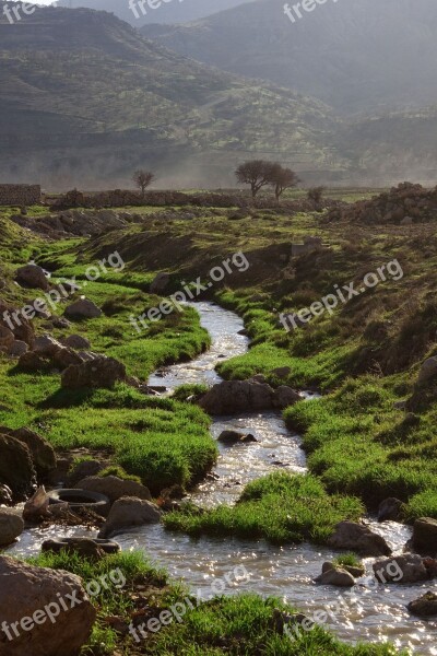 Nature Tree Mountain River Green