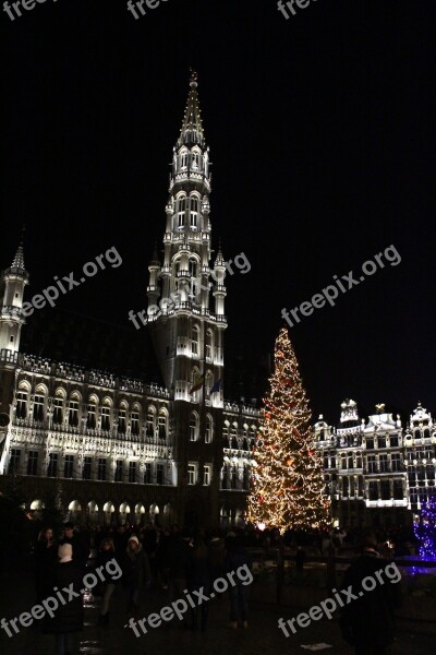 Fir Christmas Brussels Belgium Decoration