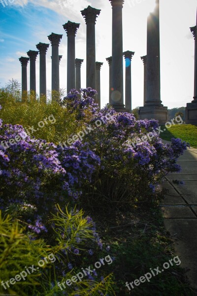 Park Flowers Lens Flare National Arboretum Foliage