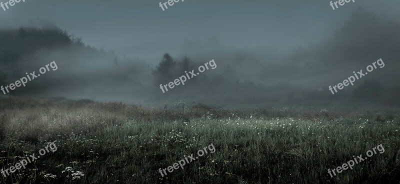 Morning Fog Landscape Mood Nature