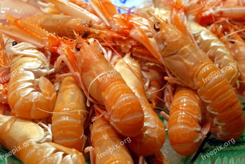 Food Prawn Seafood Shrimp Fish