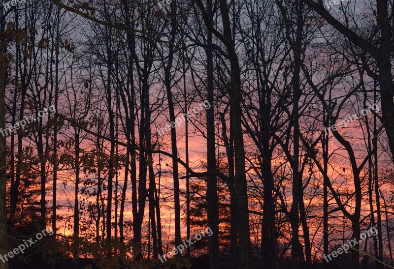 December Sunset Sunset Trees Plants Nature