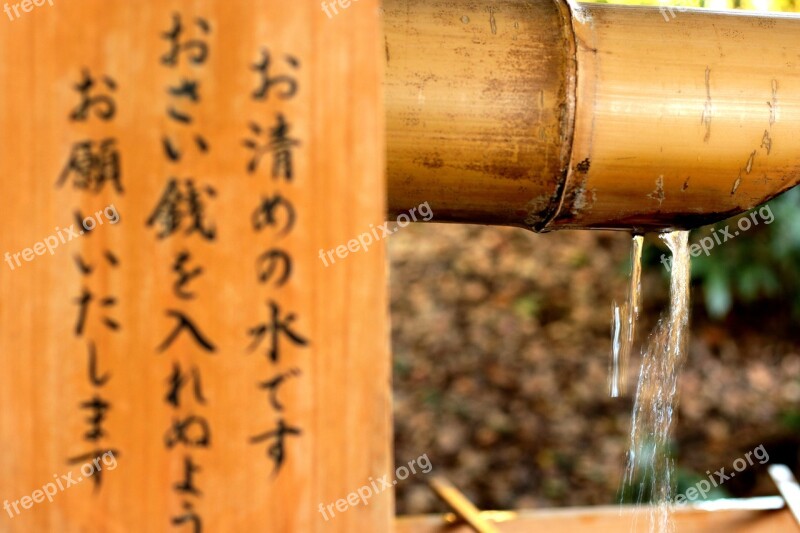 Wood Water Spoon Drink Liquid