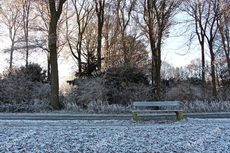 Winter Cold Nature Frost Frozen