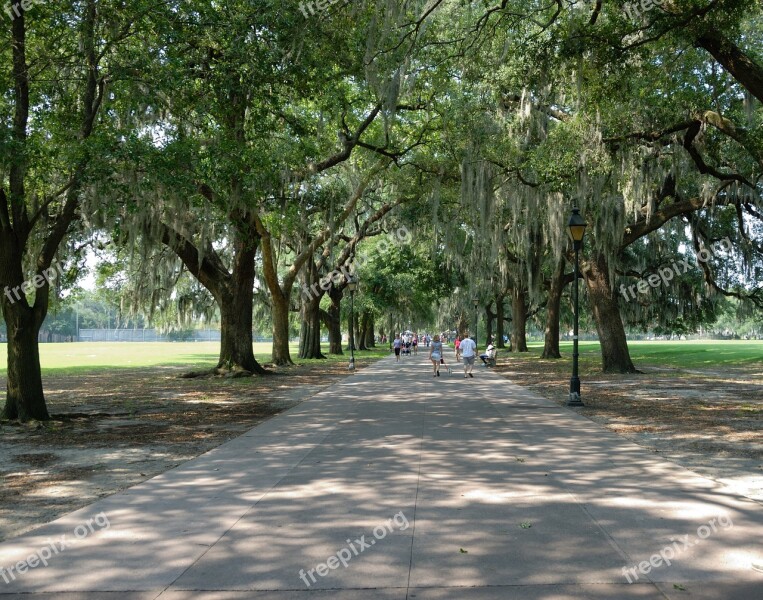 Forsyth Park Savannah Georgia Usa Park