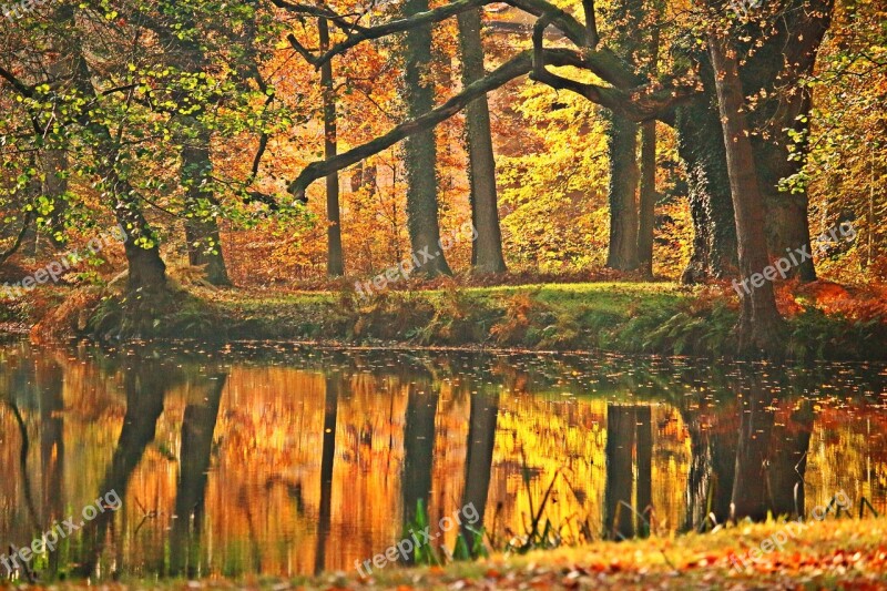 Autumn Fall Foliage Park Pond Trees