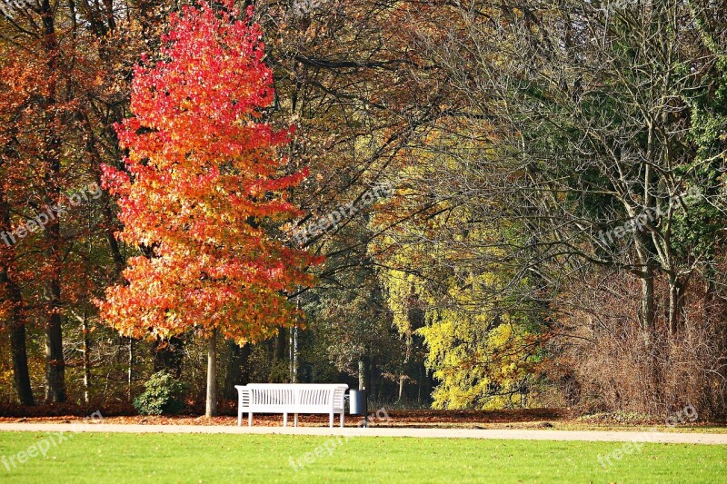 Park Bank Autumn Tree Park Bench