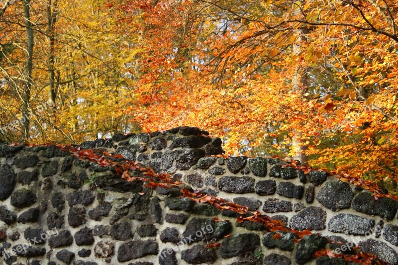 Autumn Wall Clumping Stone Feilenmoos Leaves