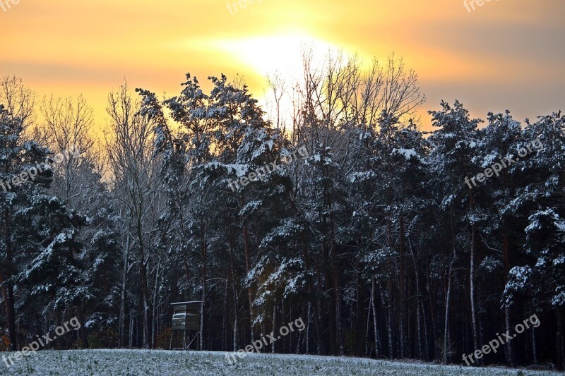 Winter Snow Forest Winter Forest Sunset