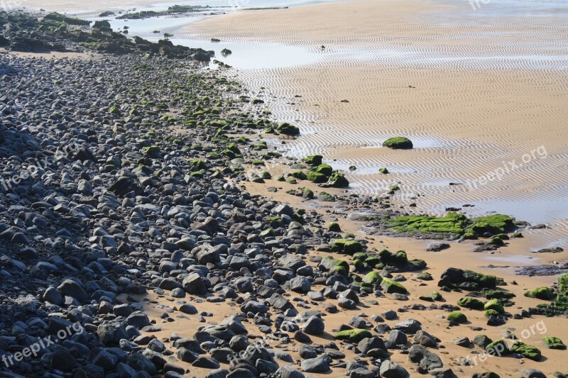 Shingle Beach Sea Sand Stones Nature