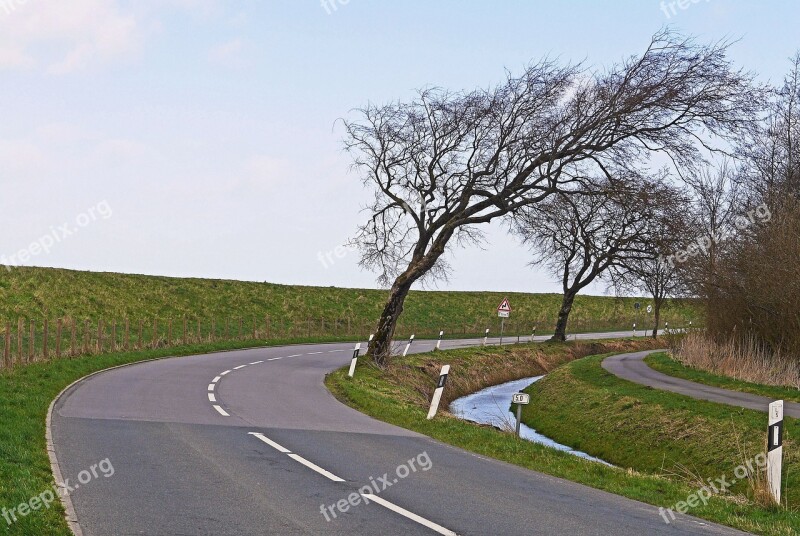 East Frisia Dike West Wind Street Trees Askew