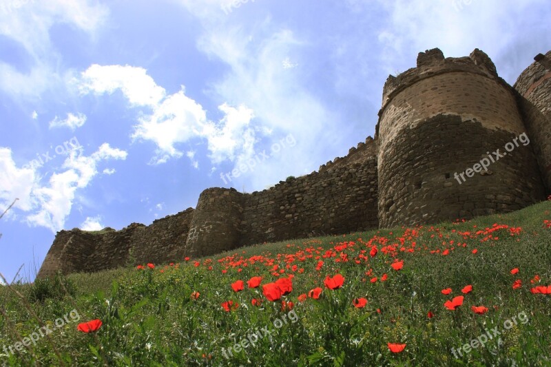 Castle Mus Castle Of Hosap Papaver Rhoeas Nature