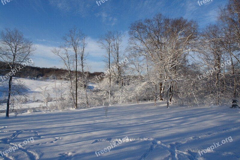 Winter Wonderland Snow Tree December View