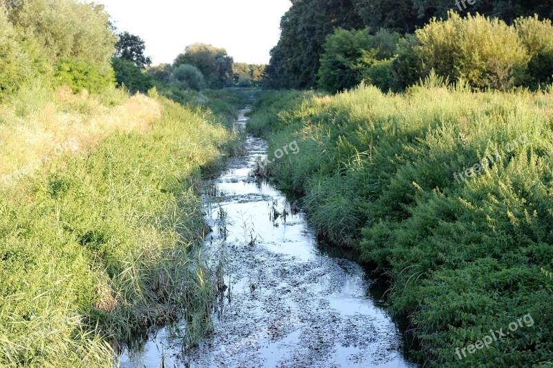 Water Canal Grass Evening Green Traditional