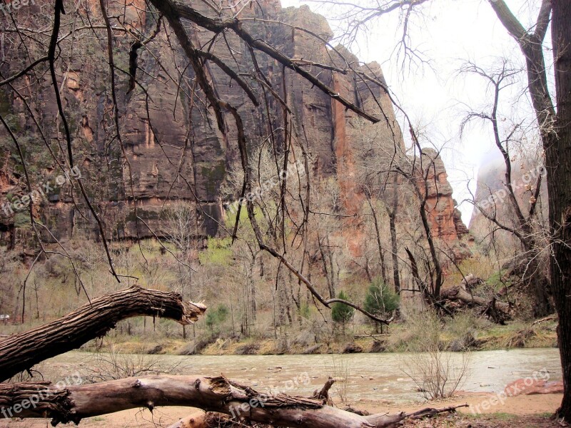 Zion National Park National Park Rock Formation America United States